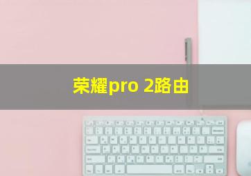 荣耀pro 2路由